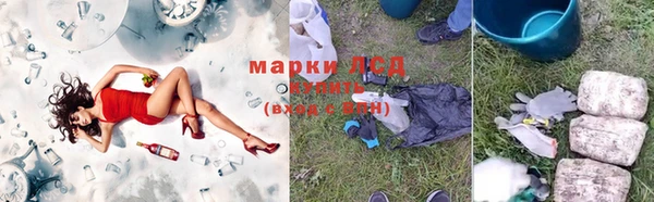 ПСИЛОЦИБИНОВЫЕ ГРИБЫ Приозерск