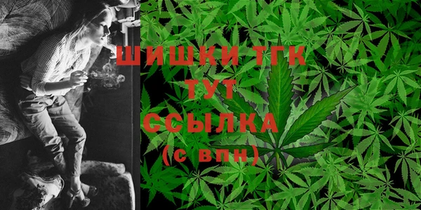 ешки Протвино